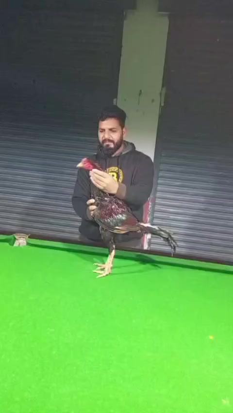 @Mirzathegreat