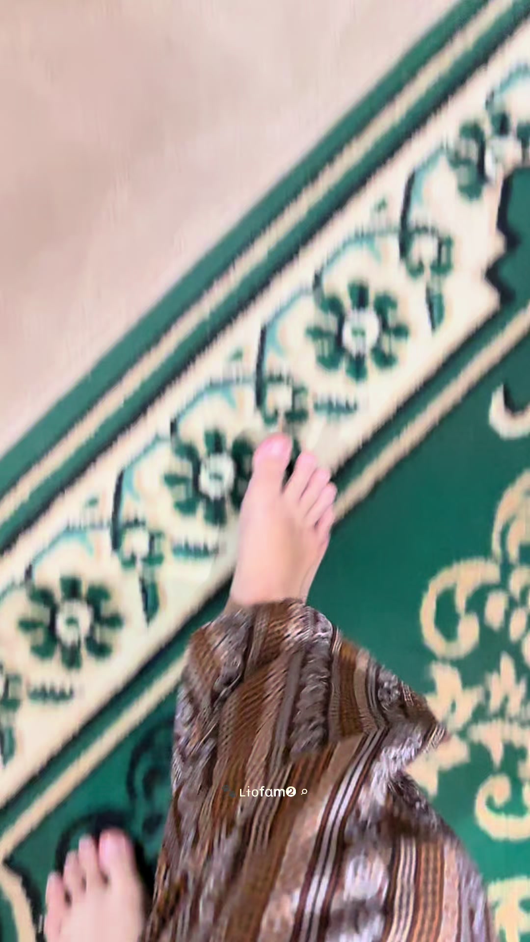 @ʟɨօfαm➋ ⌕ 🐾