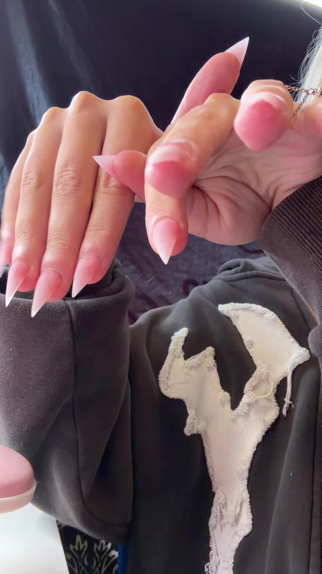 @angelica😼