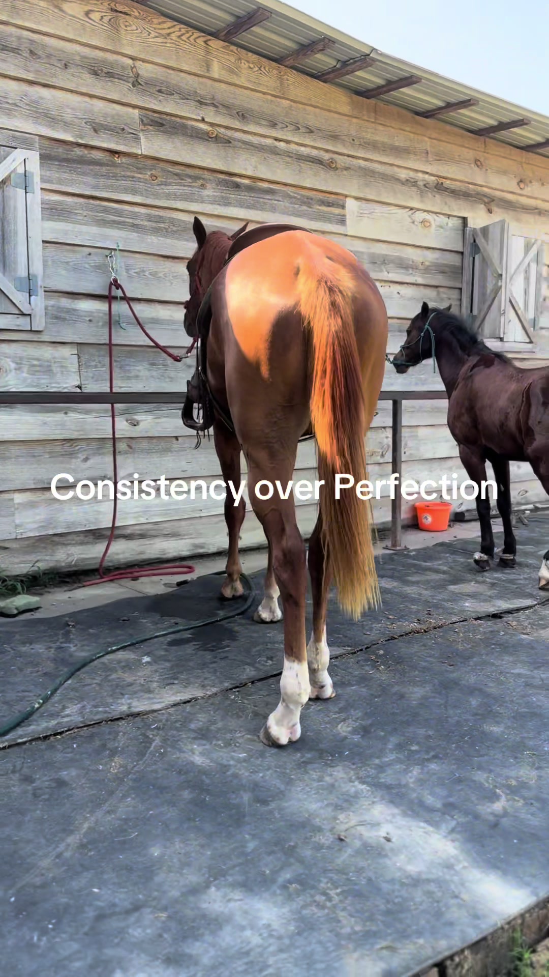 @Katie | The English Cowboy