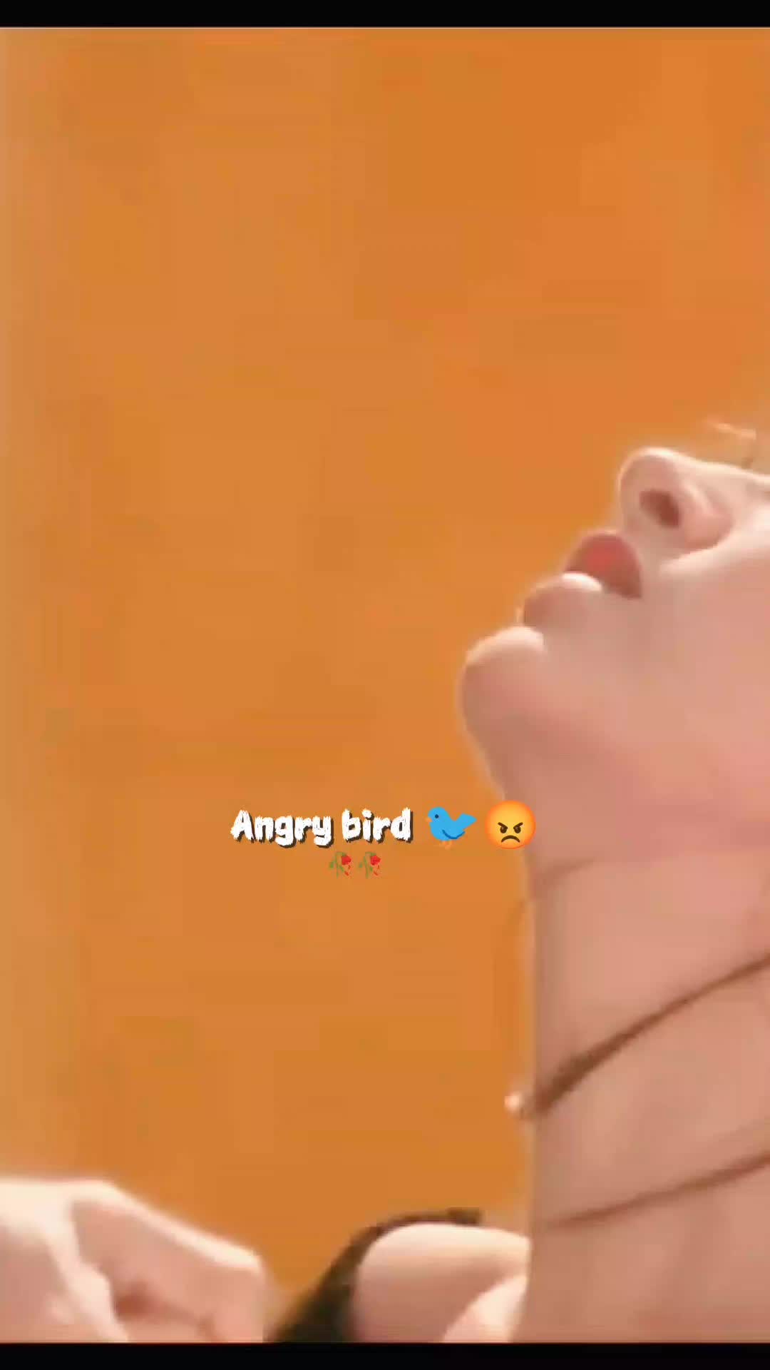 @💫𝖆𝖓𝖌𝖗𝖞 𝖇𝖎𝖗𝖉𝖘💫💥