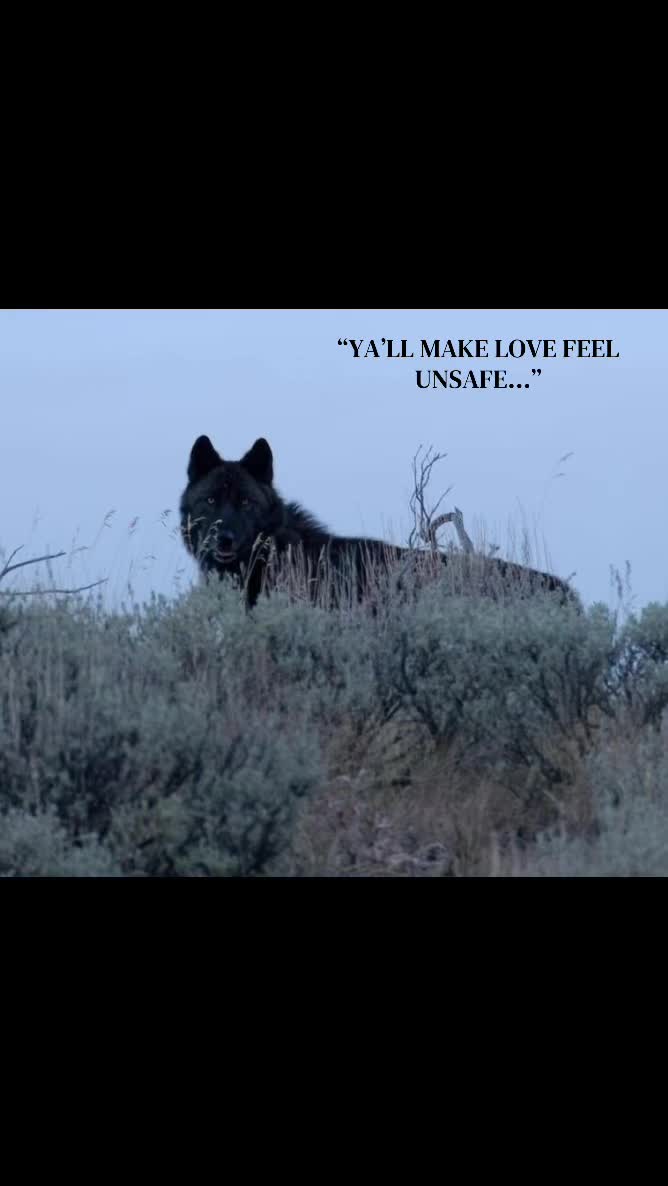 @🪬Conscious_LoneWolf🐺