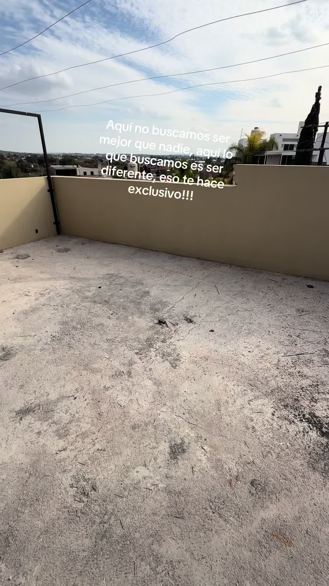 @ripeto32