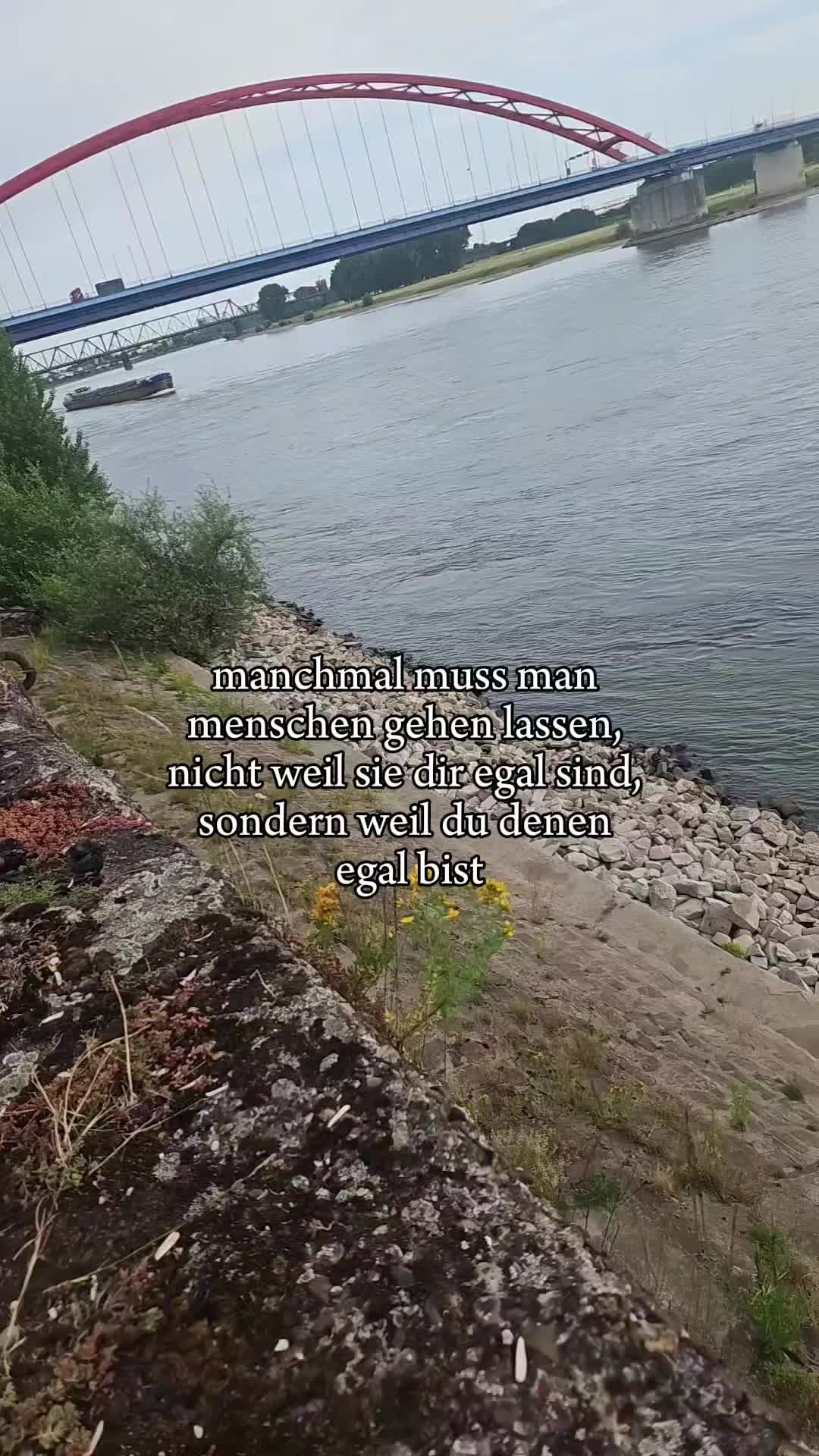 @Bella