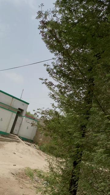 @جگنو ملک