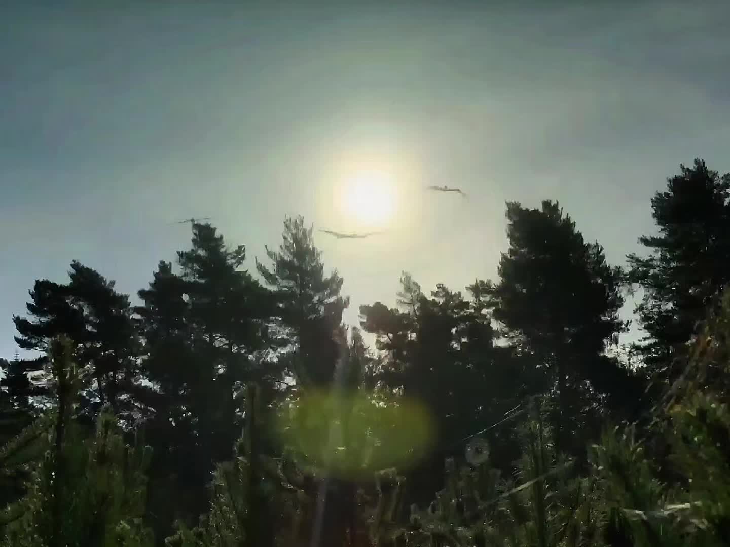 @RBL7