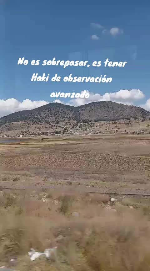 @cachorro 444