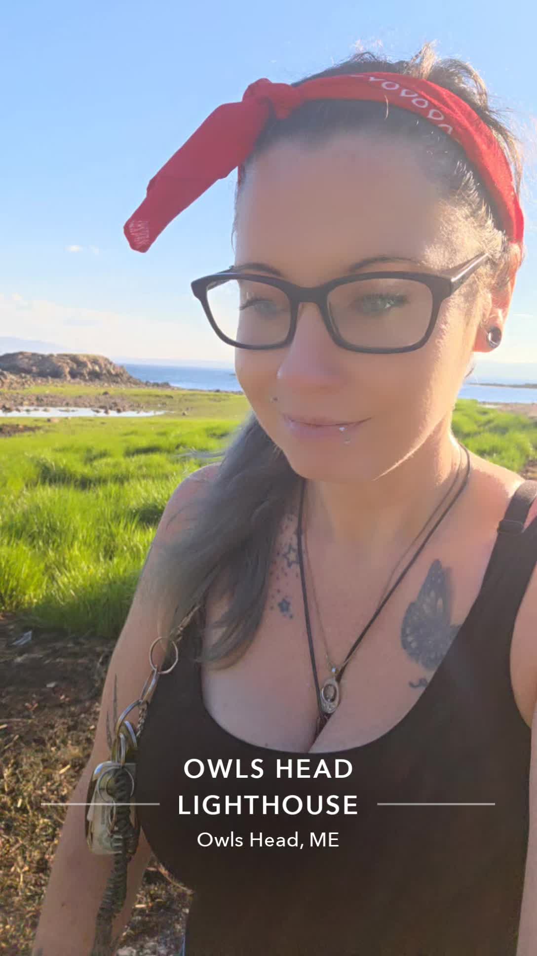 @kitten_always