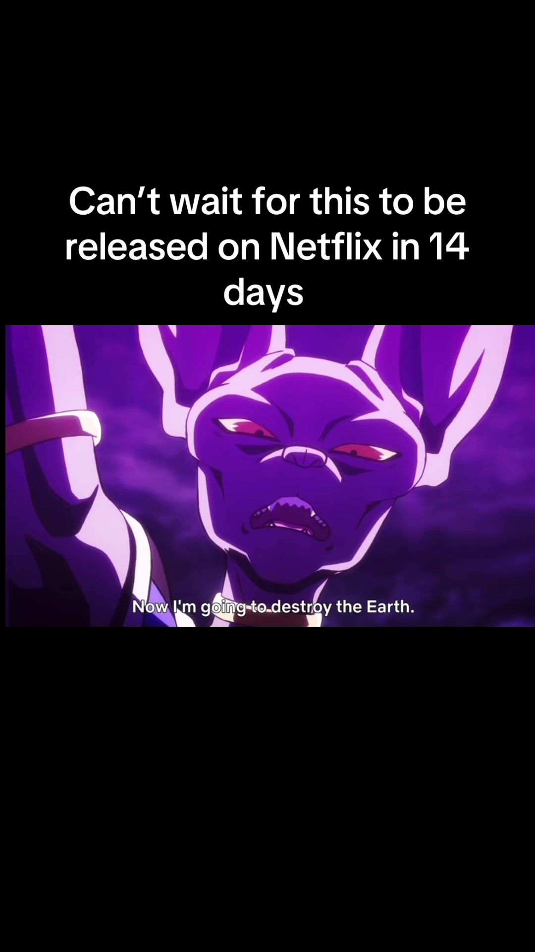 @alancortez354