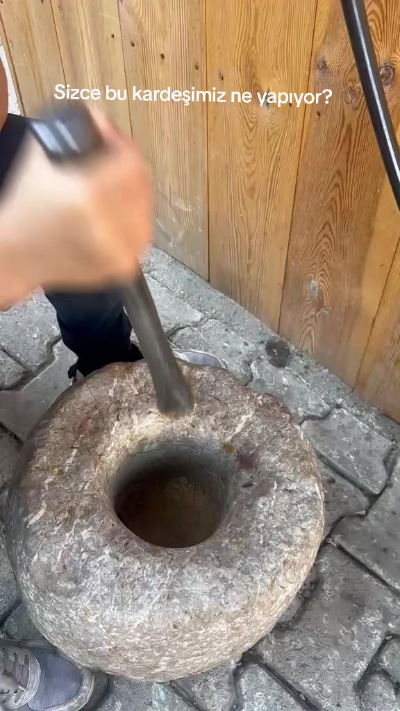 @Hasbi Erginöz