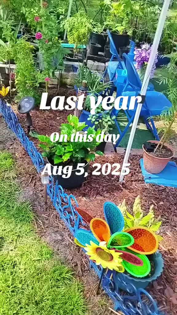 @Ronnie's garden🍅🫑🥬🥒🌻🌺