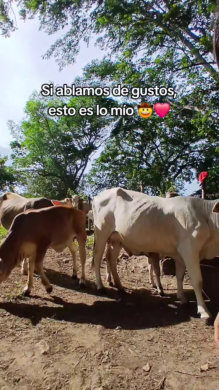 @Estefany Martinez