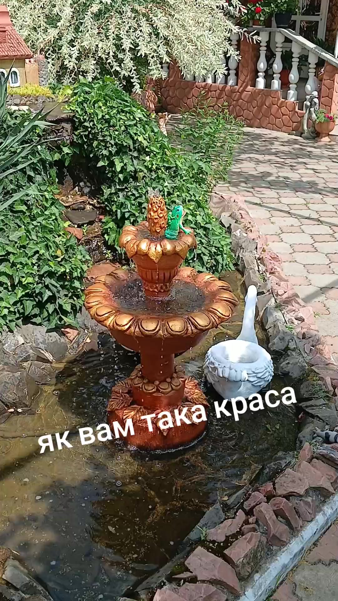 @Андрій Закарпаття🥰🥰🥰