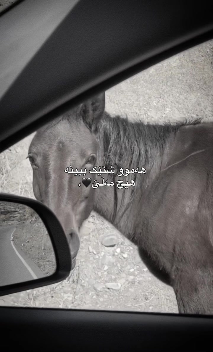 @Sahar