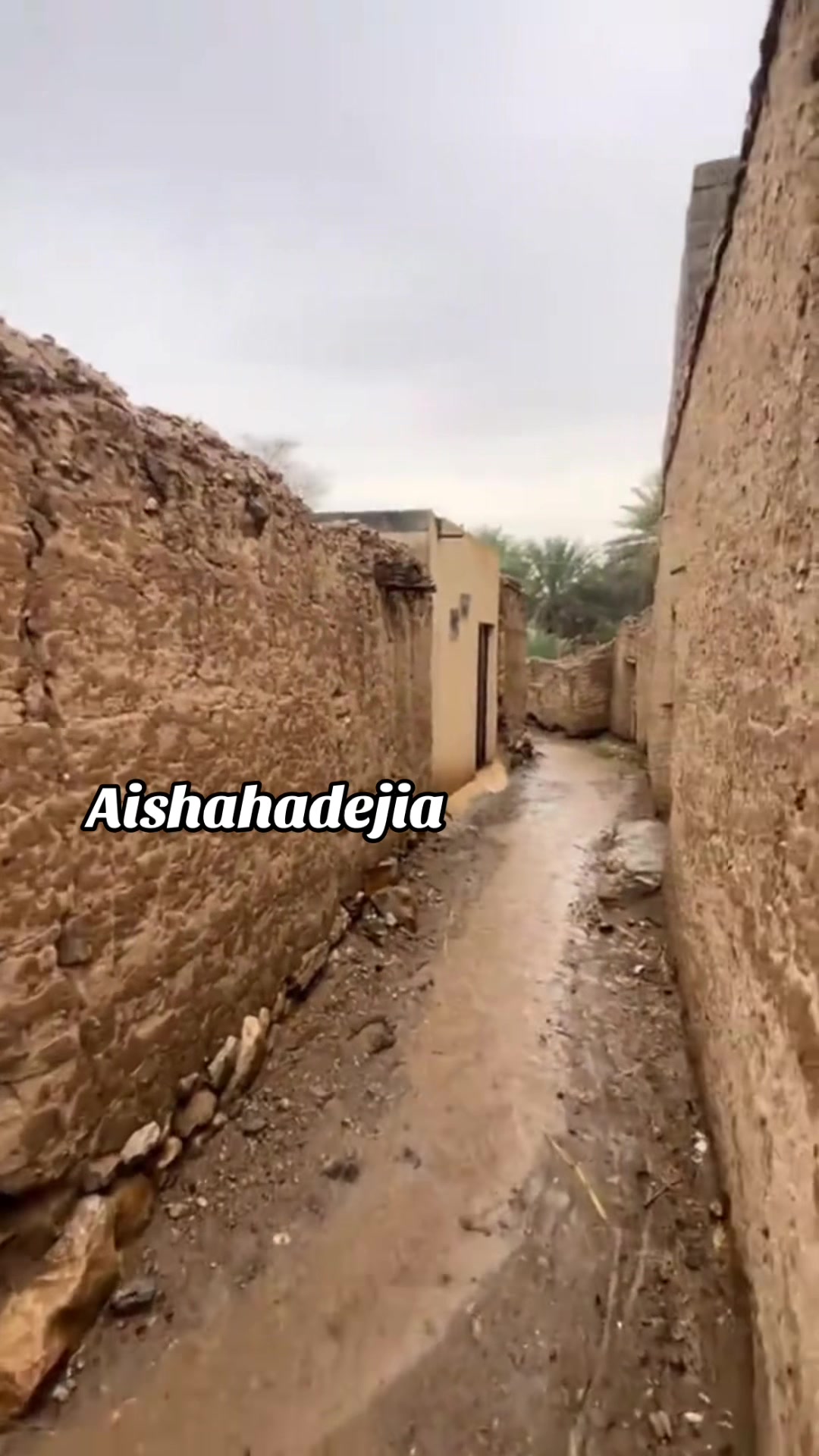 @🦋AISHA🦋