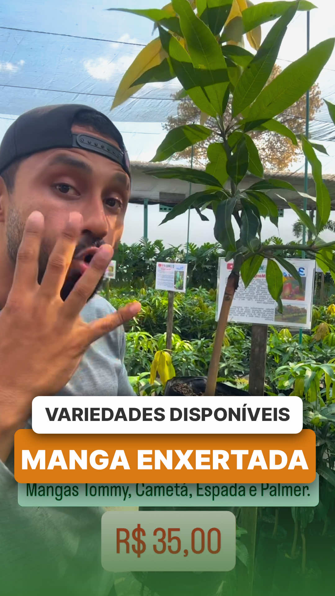 @ViveiroProMudas