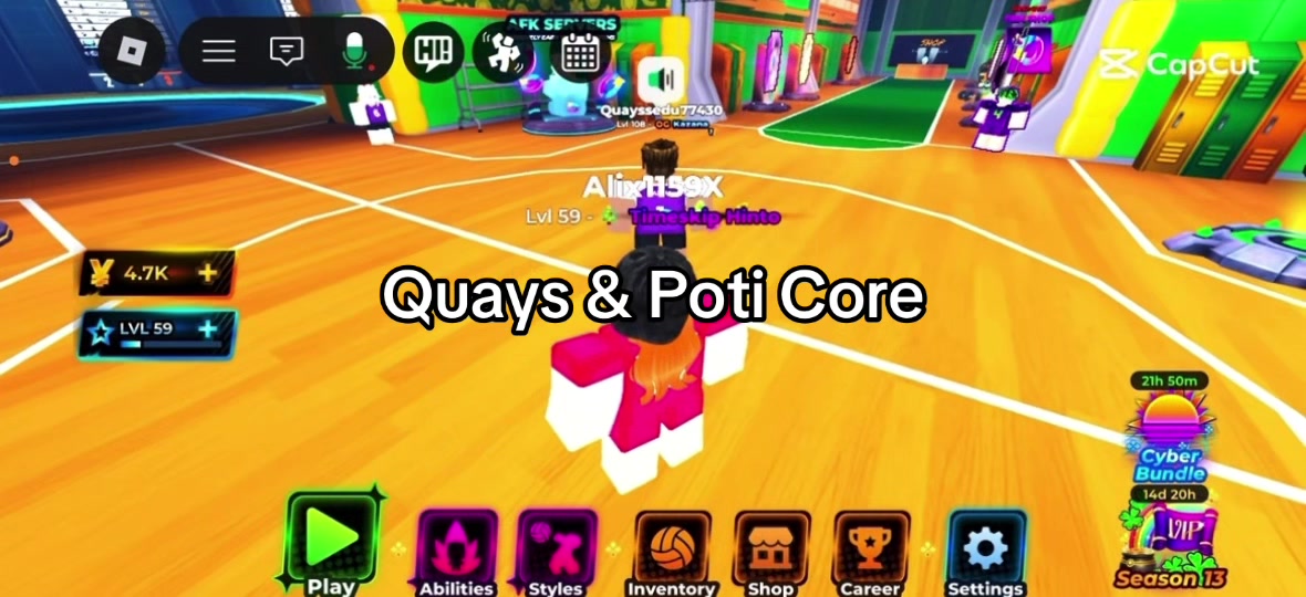 @Alix_Rbx