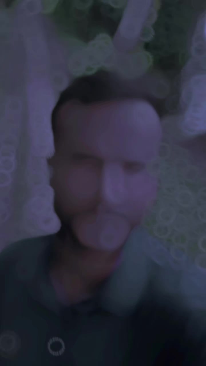 @ronyahammed209