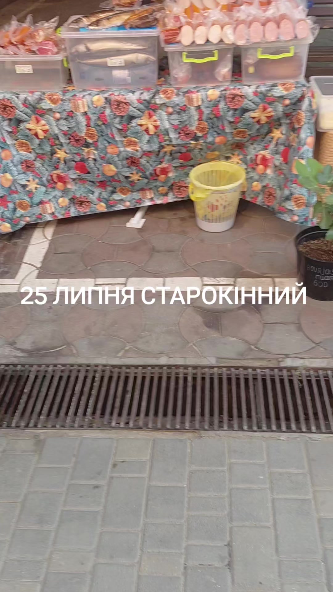 @ЗОЛОТА&ensp;РИБКА