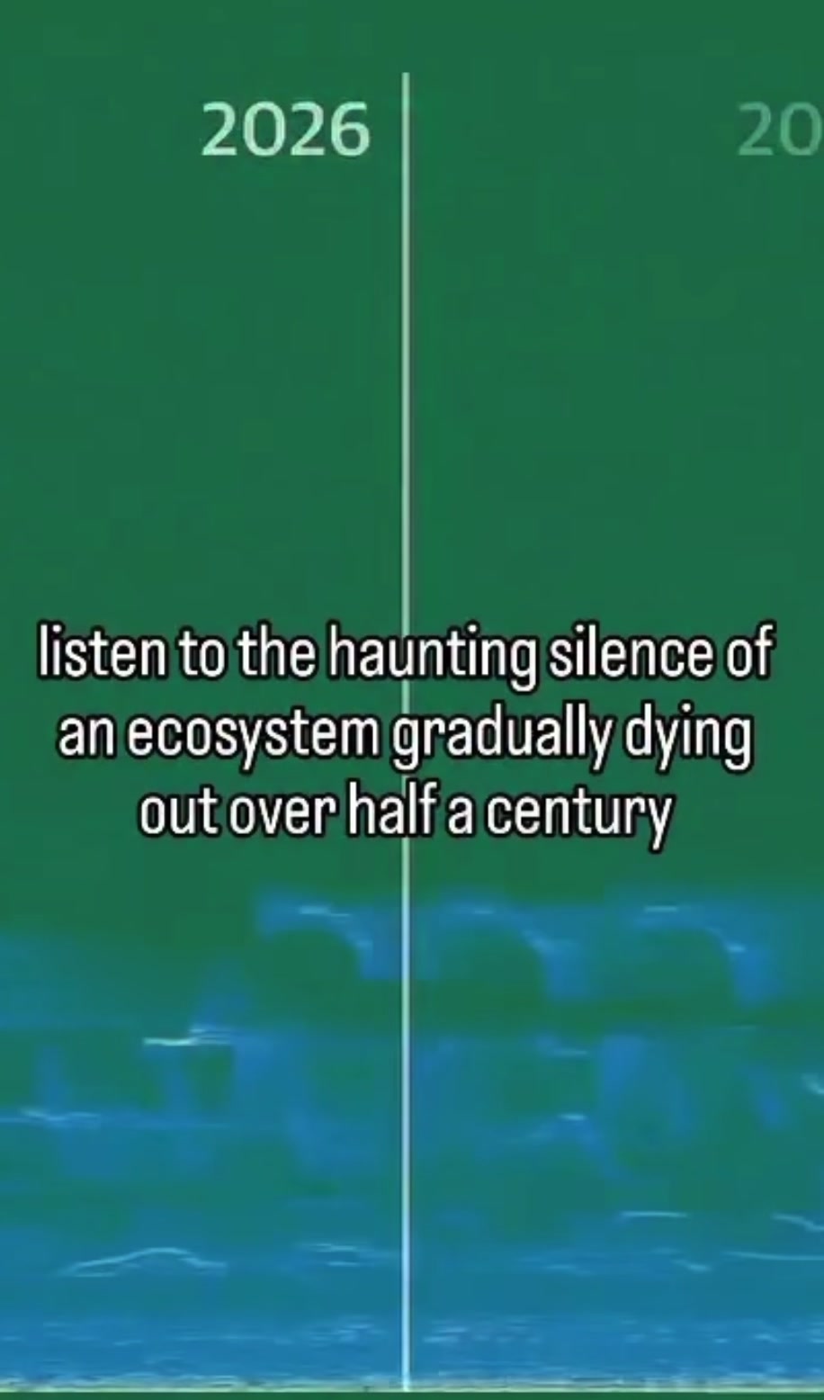 @lynnc4change