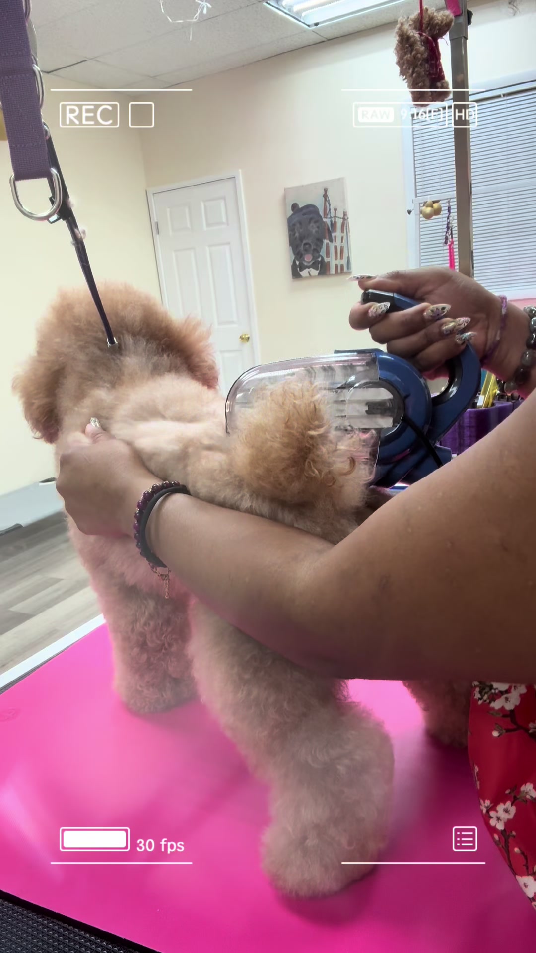 @fusionpetstylez