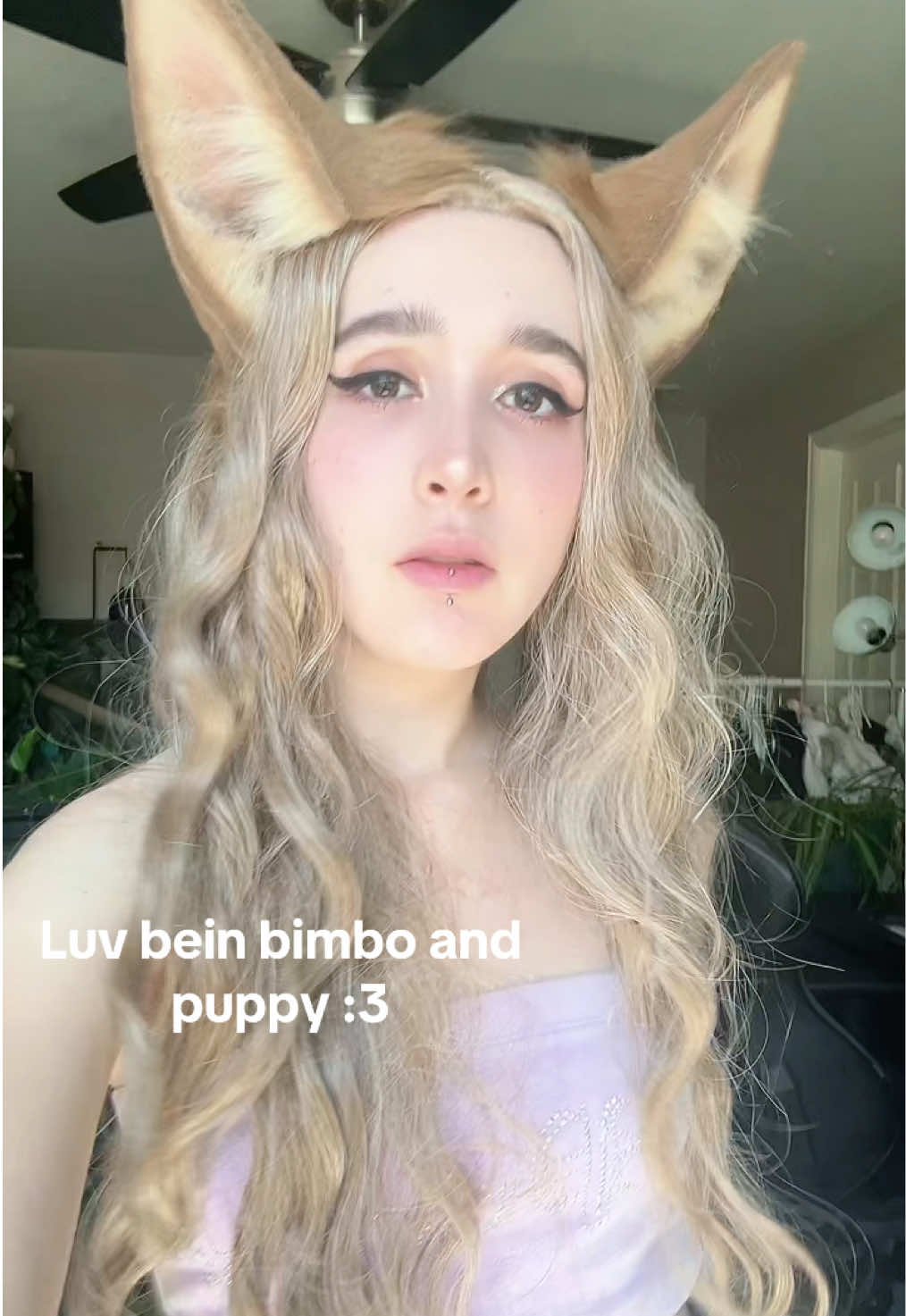 @Jinx! 🖤🐺✩⋆☾╶⃝⃤☽⋆✩🐺