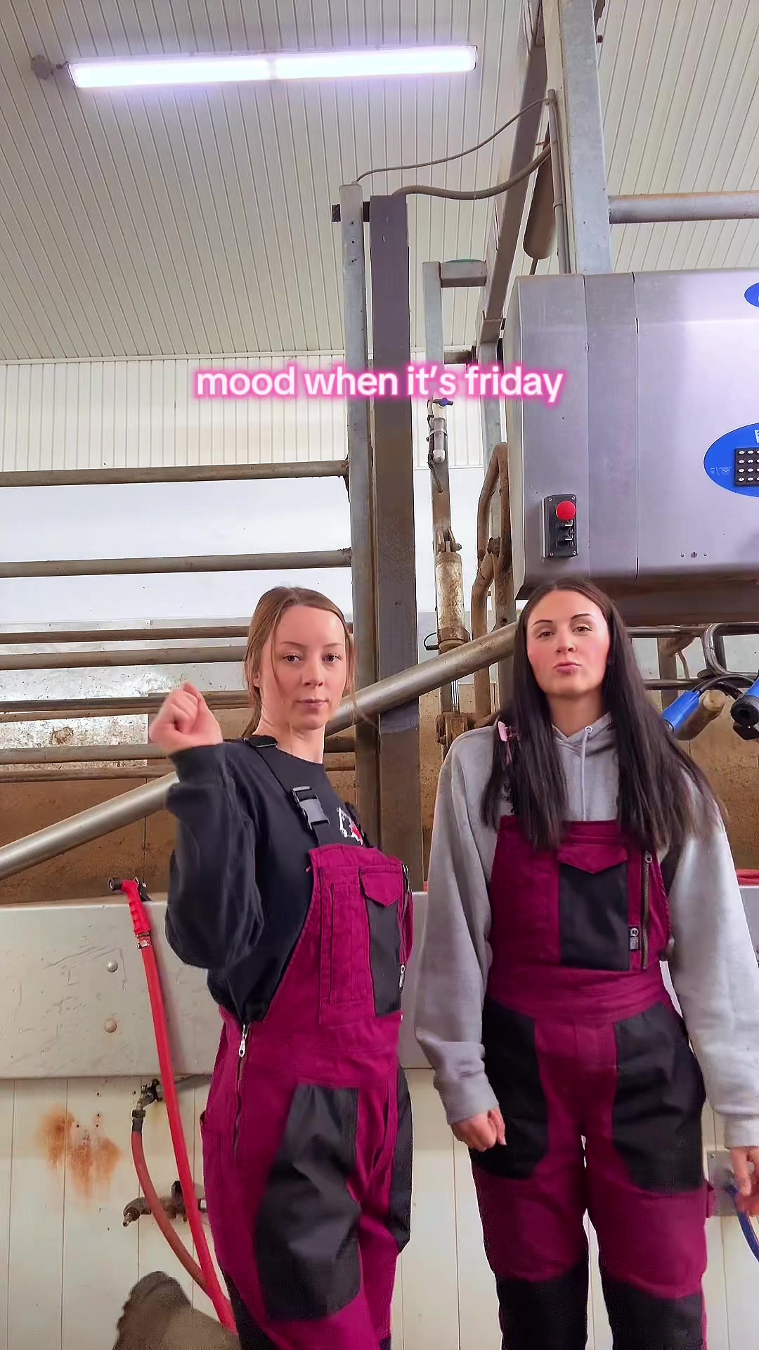 @519farmgirls