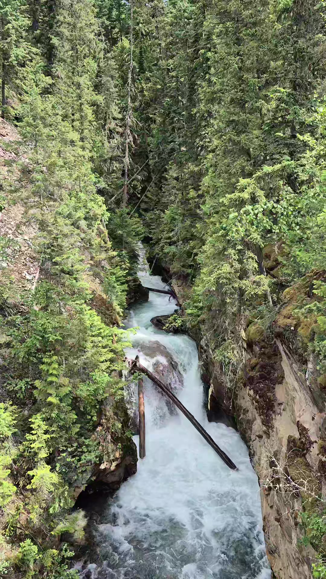 @Mooneyes199 🇨🇦