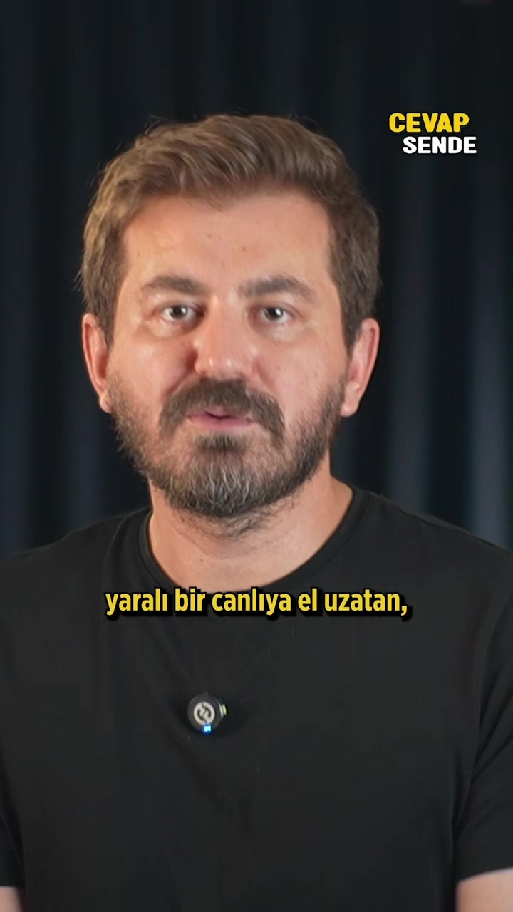 @CevapSende