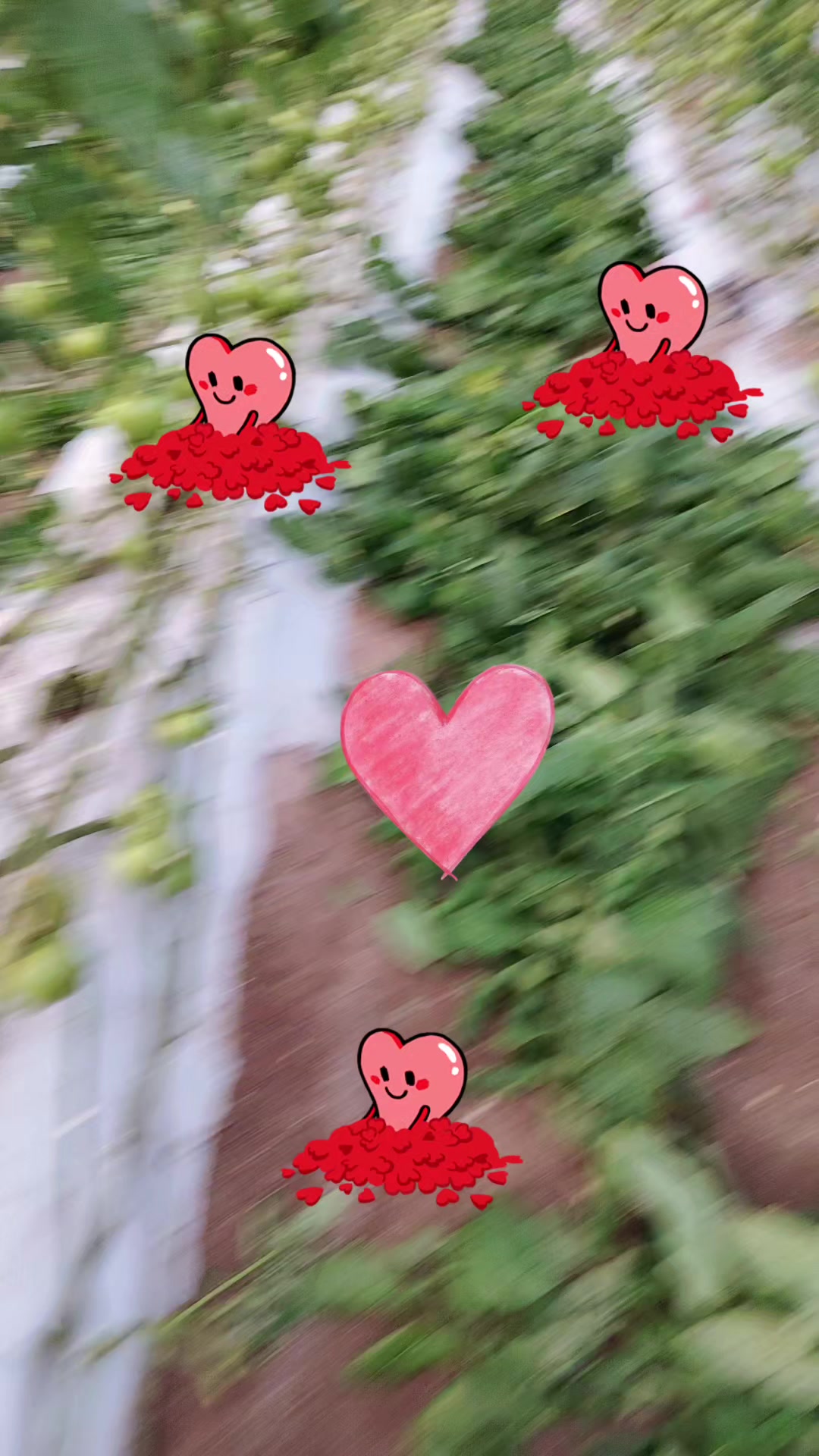 @lid.01