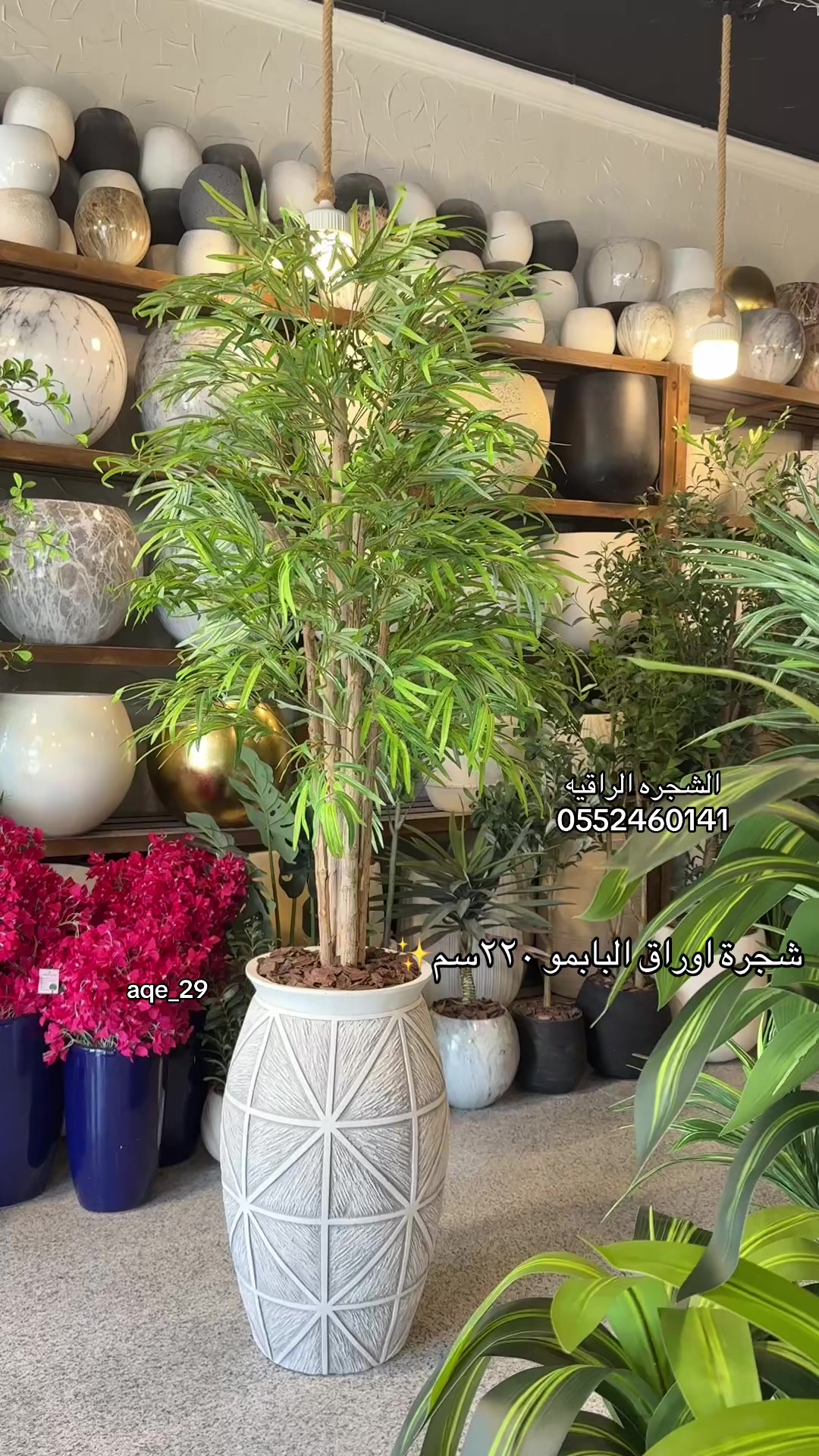 @الشجره الراقيه(زهور المملكه)🌴
