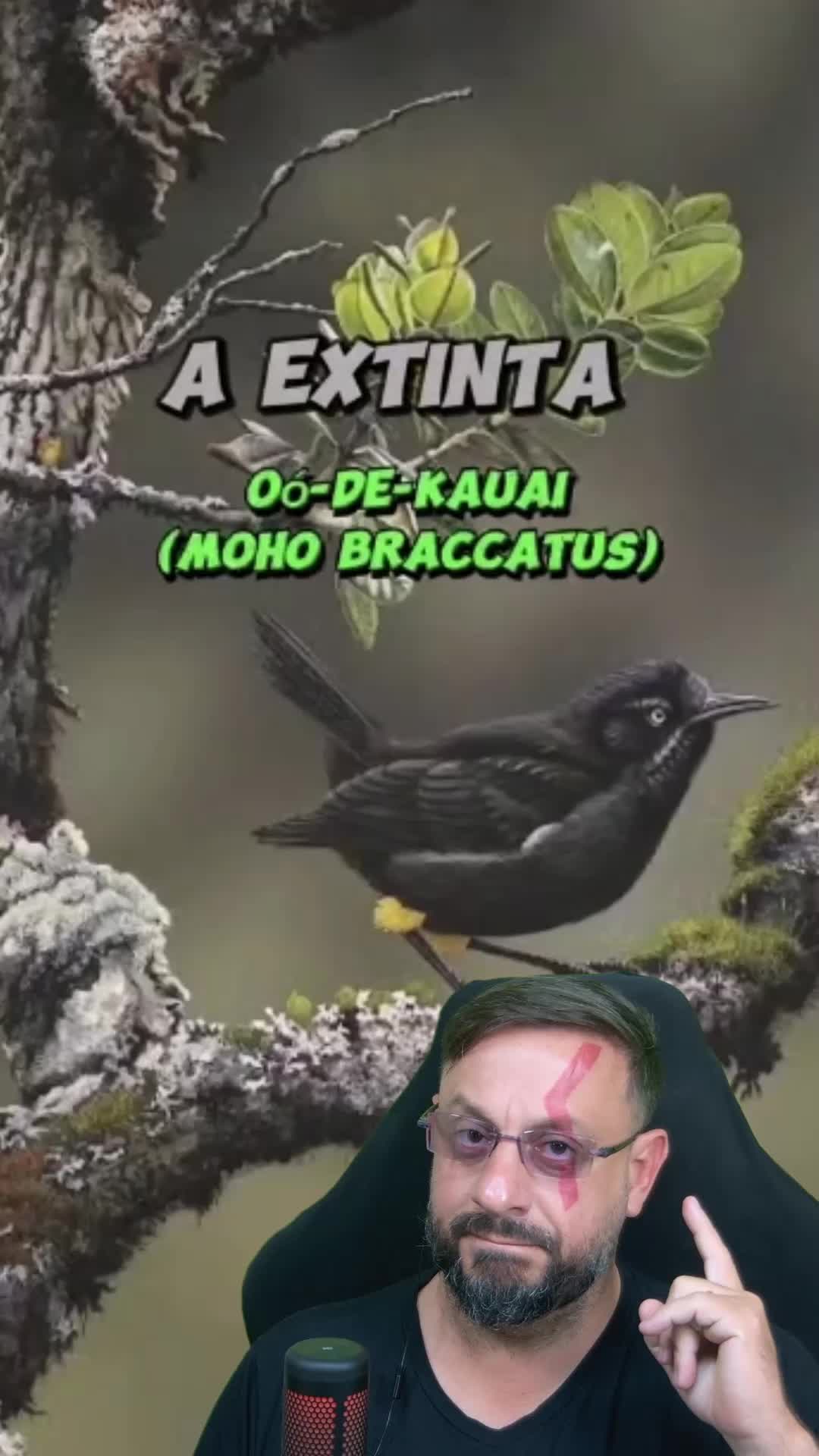 @Biólogo Henrique
