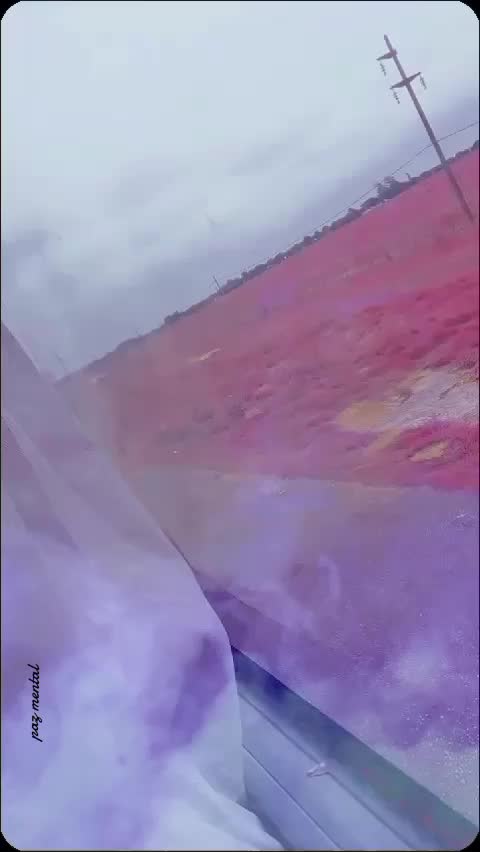 @Paz Mental