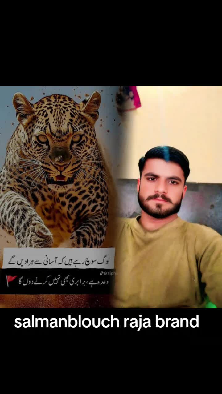 @Salman blouch786👉 Raja brand