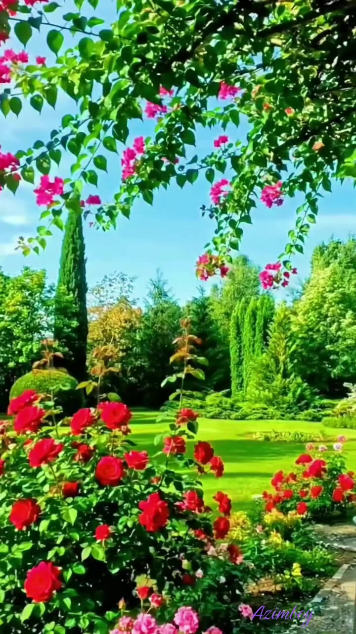 @Azimboy