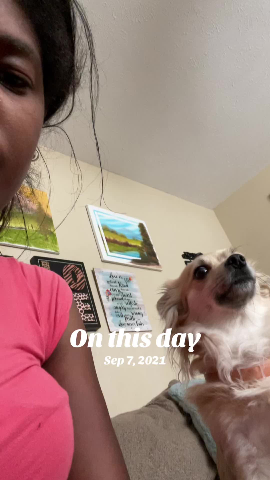 @niecywhat