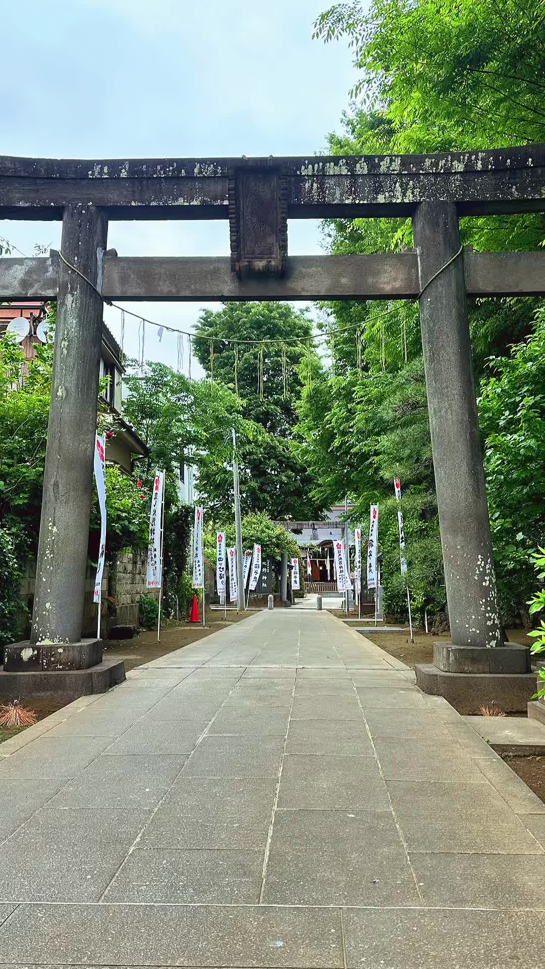 @TallestNepalese in japan🇯🇵
