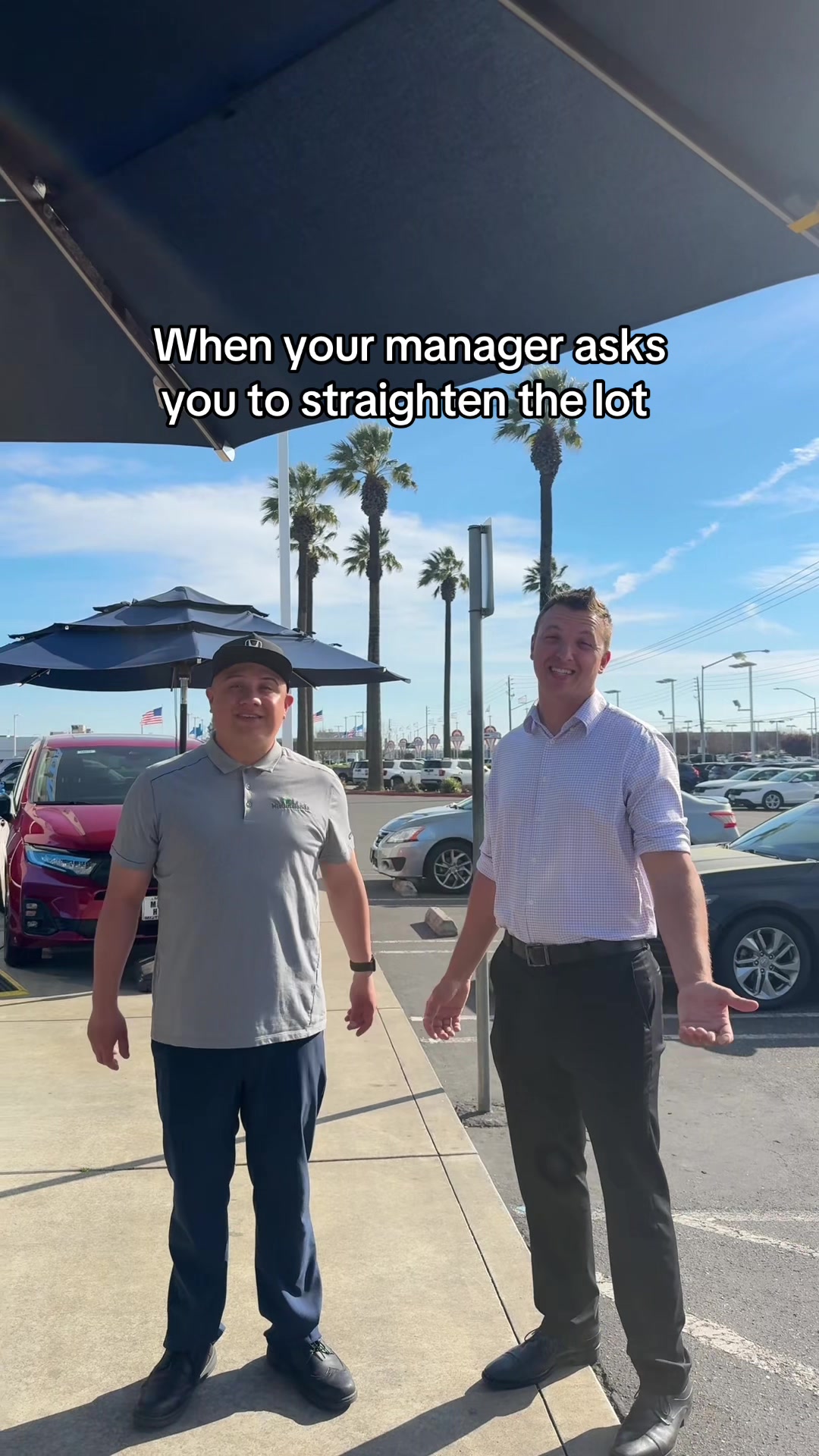 @Mistlin Honda