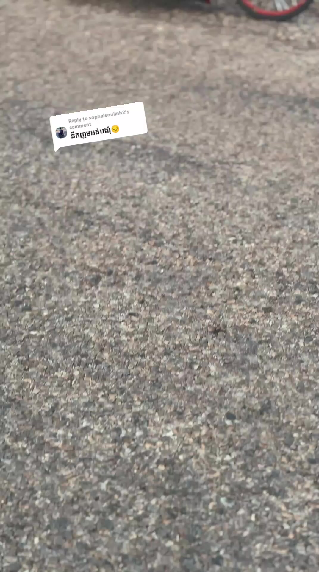 @rat.phearom4