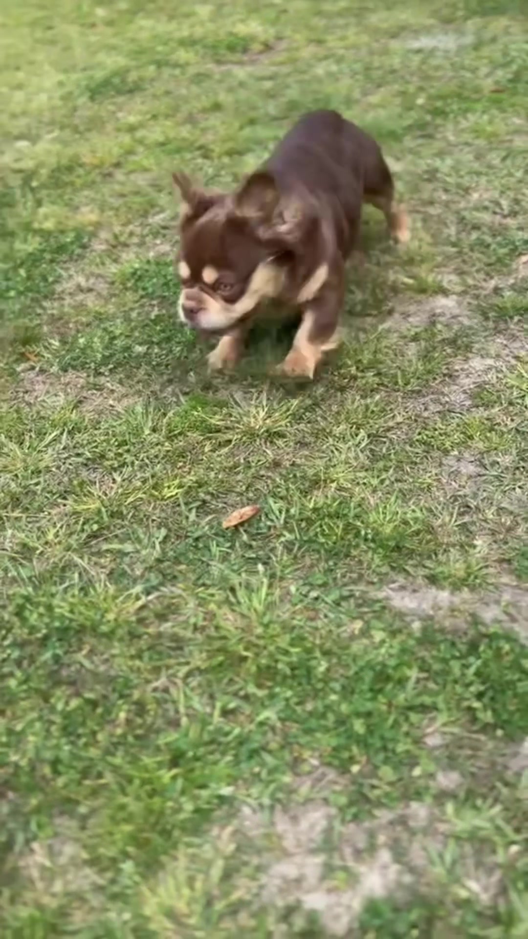 @directedby_sosa