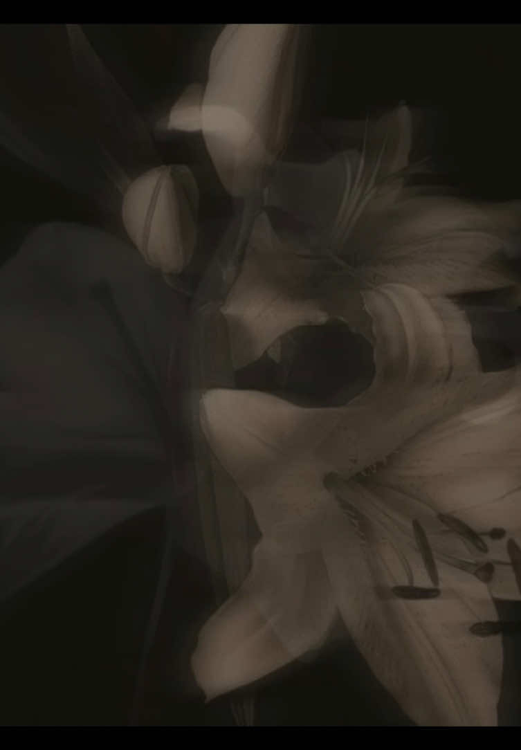 @axciel⁷