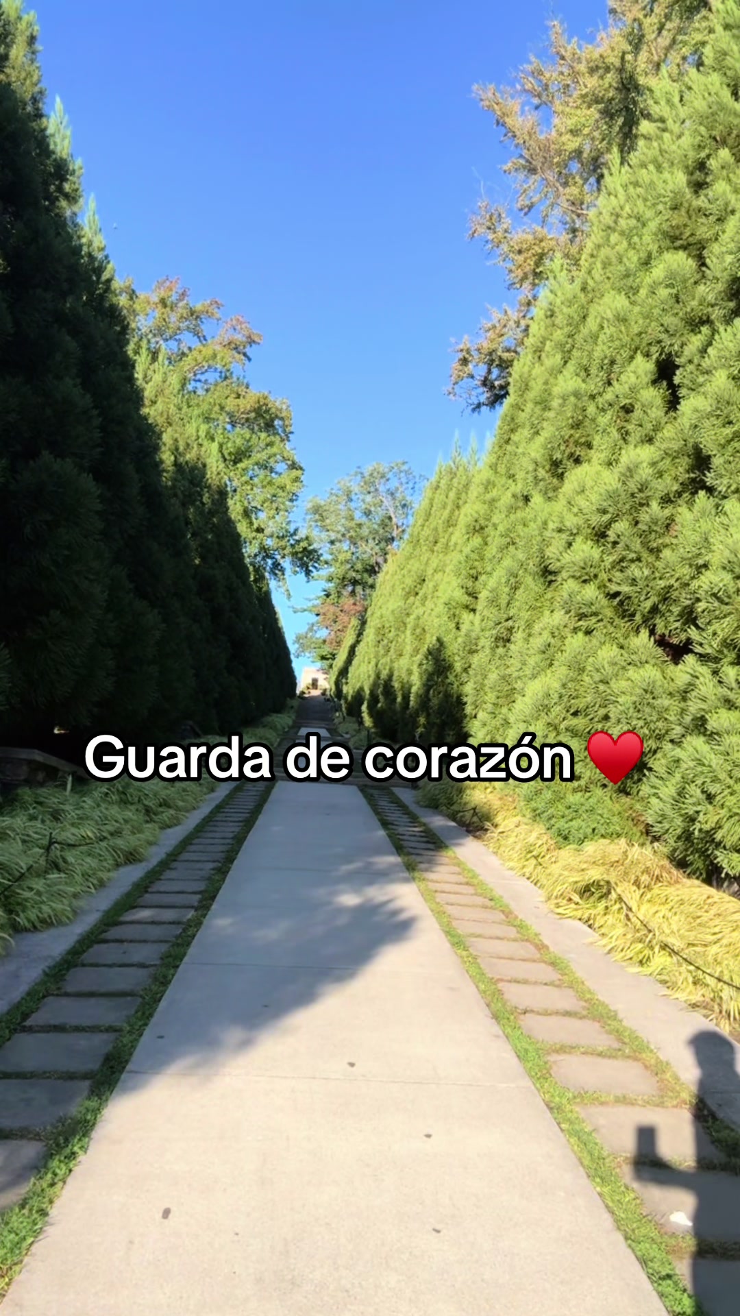 @KIKE_IXTOS