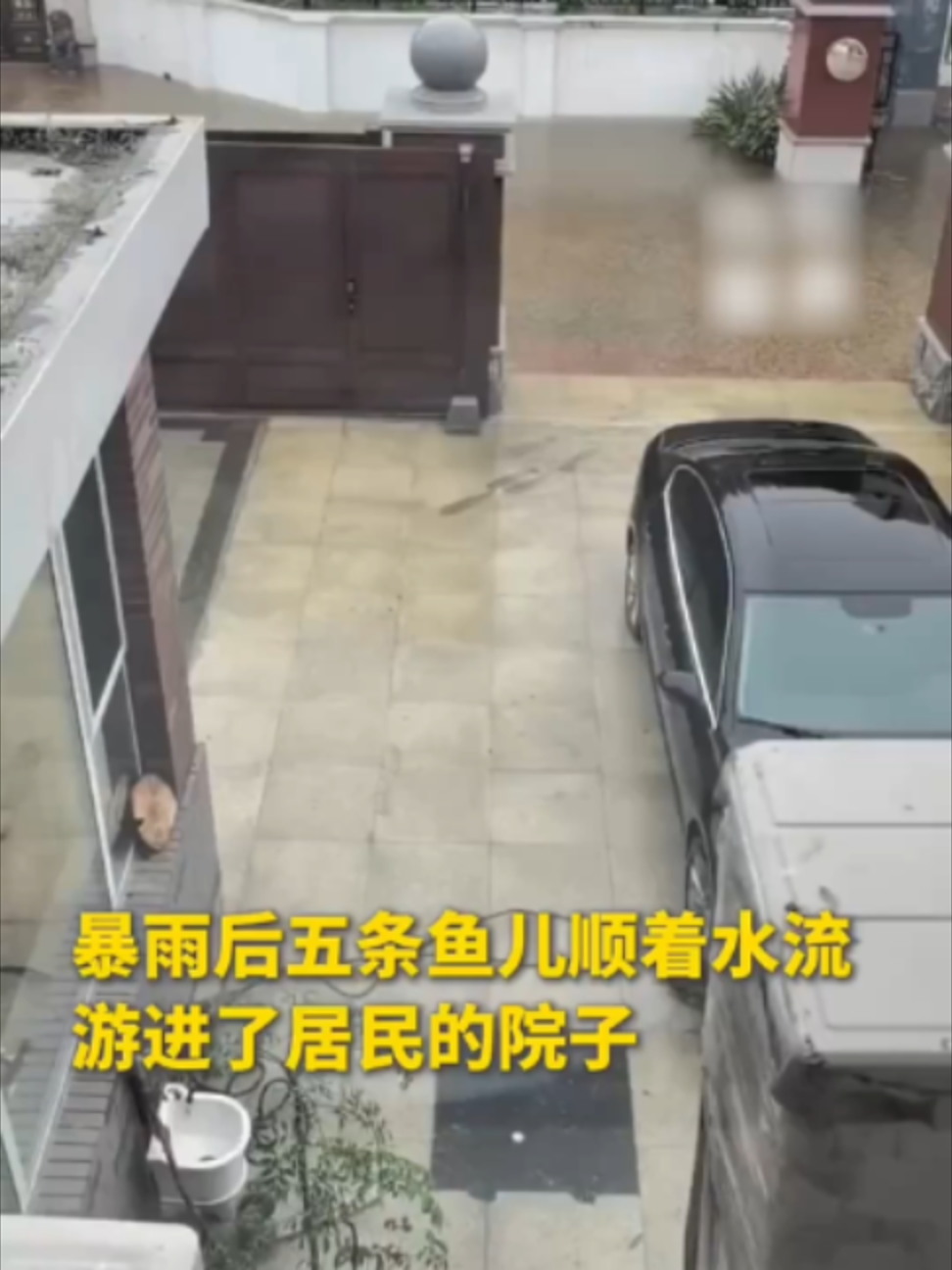 @闽南风~