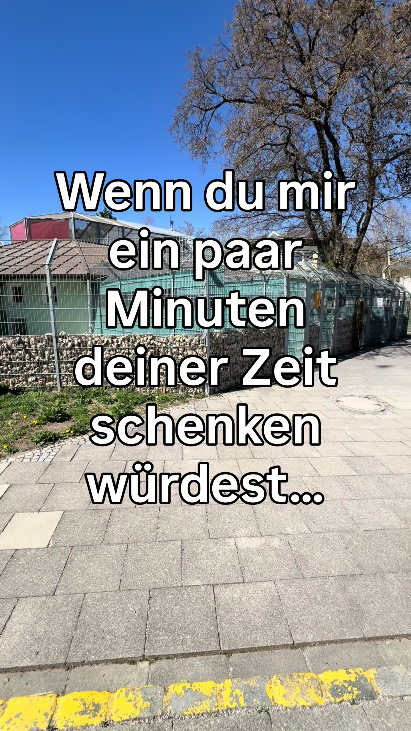 @TierschutzvereinM