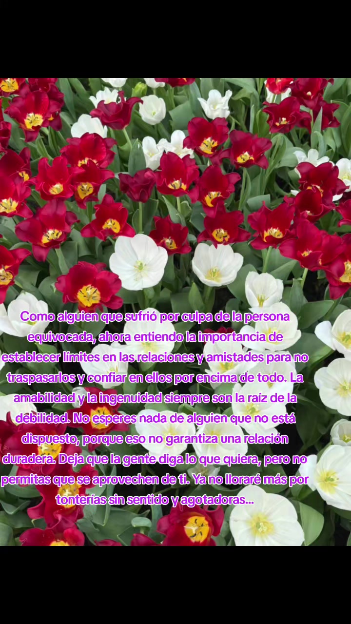 @Ivylily๐ ๐๐๐ ๐