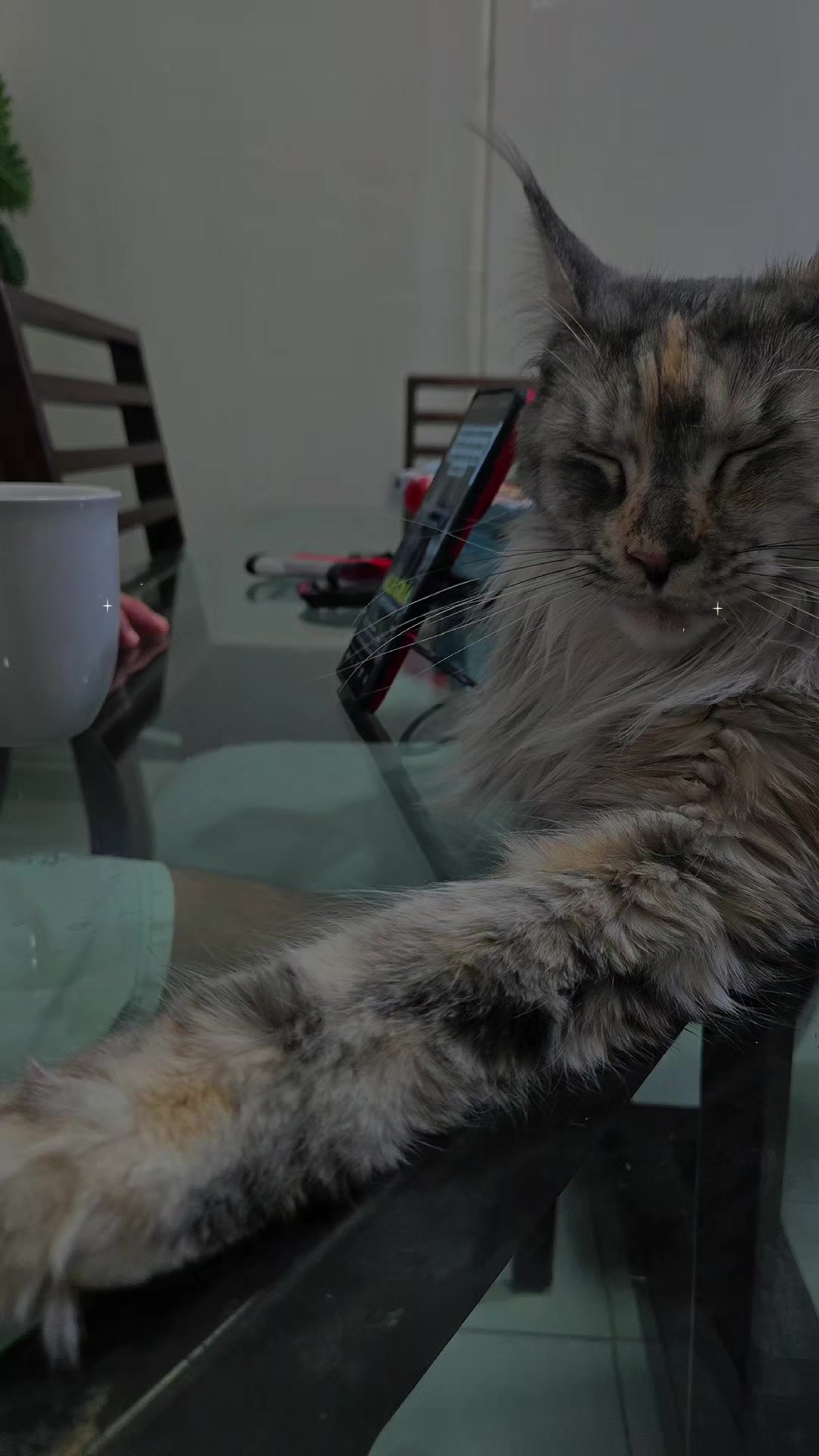 @encuentra con Venecia