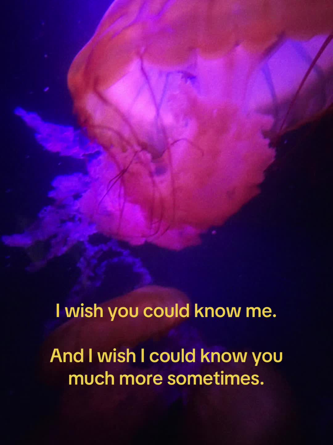 @riley<33