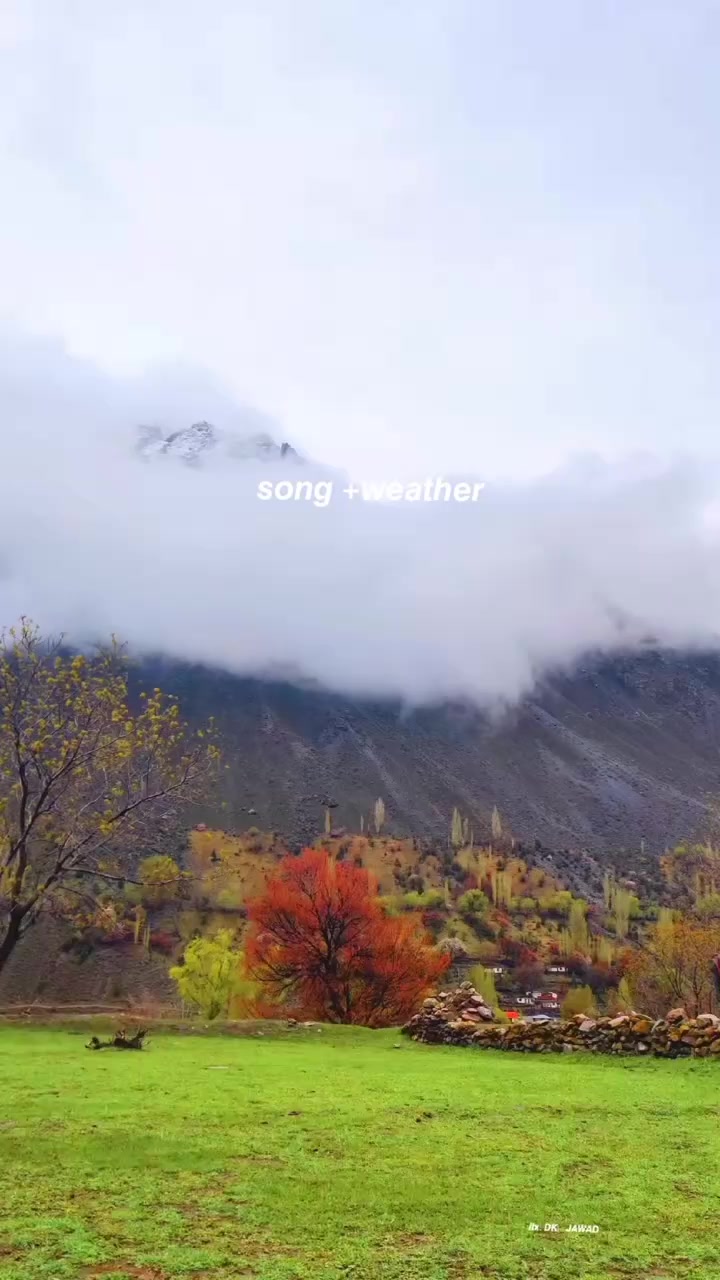 @شعیب عالم  ڈی کے