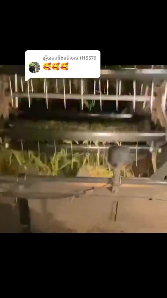 @តៃកុង វ័យក្មេង🌾🚜