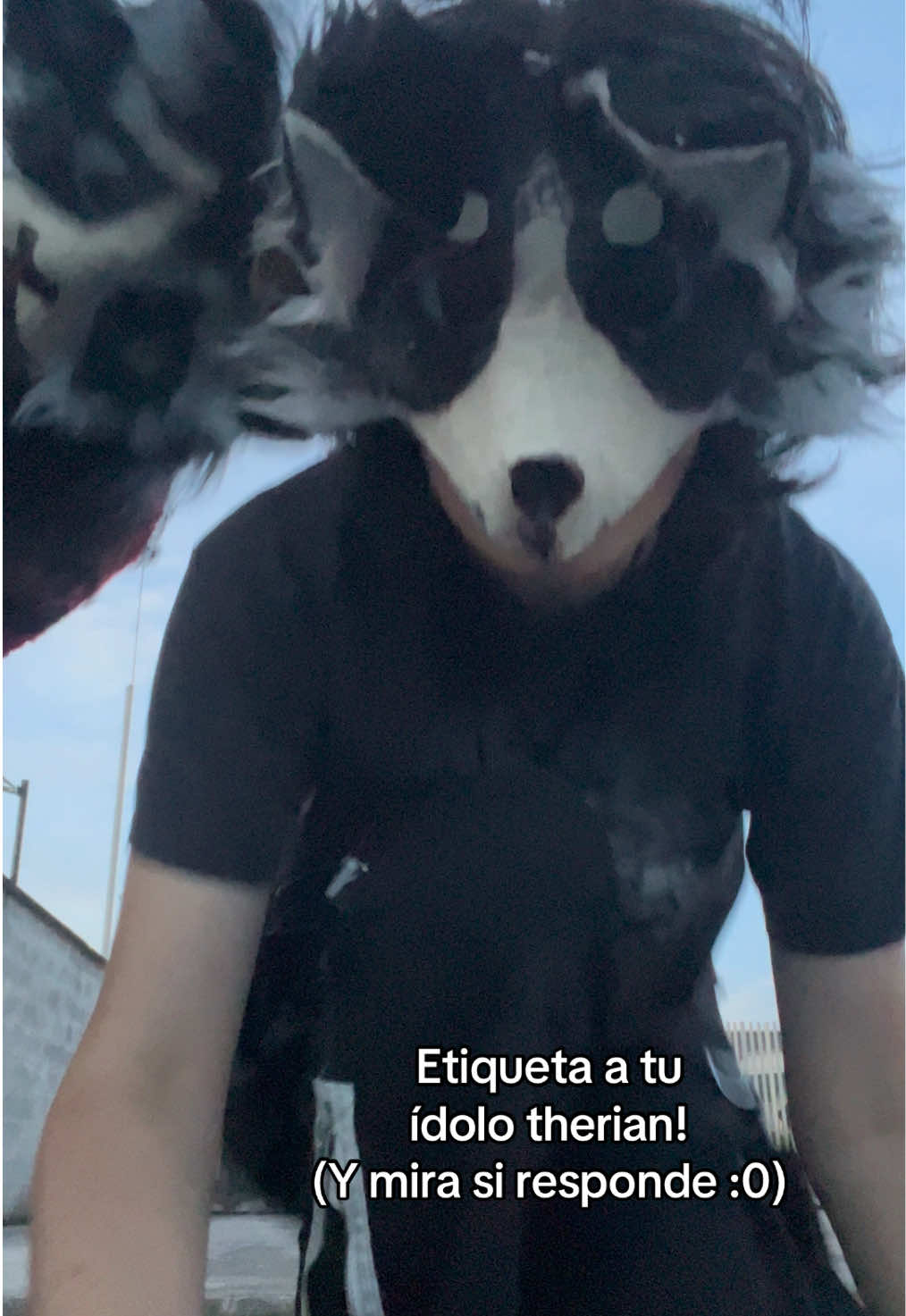 @𝓢 υηηу ⃤⃝🦈